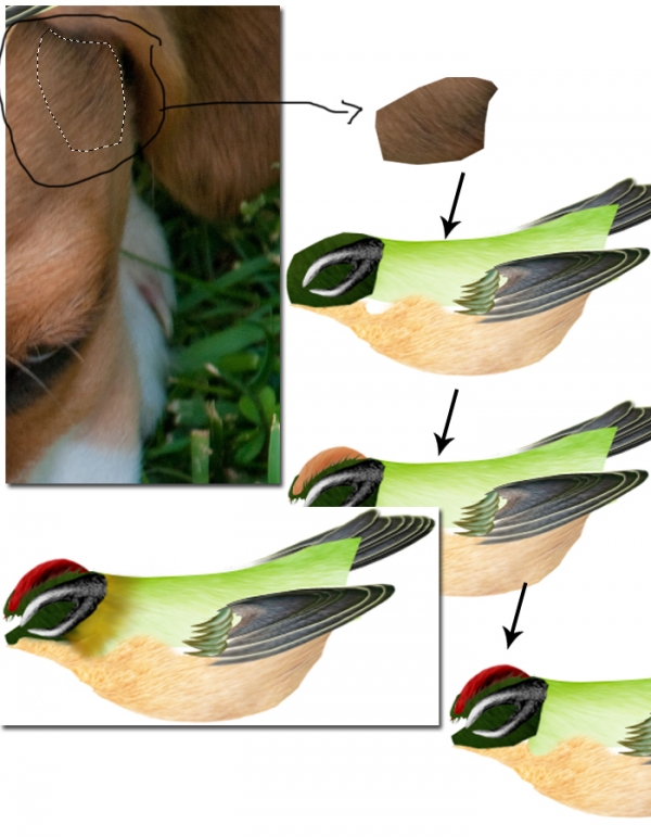 Creation of Breeze of Dawn: Step 6